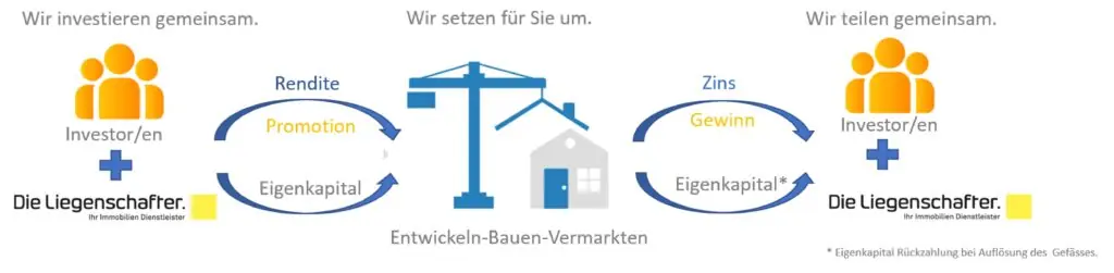 Investment Process Diagram